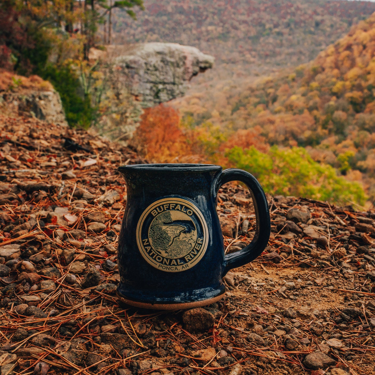 Whitaker Point Mug