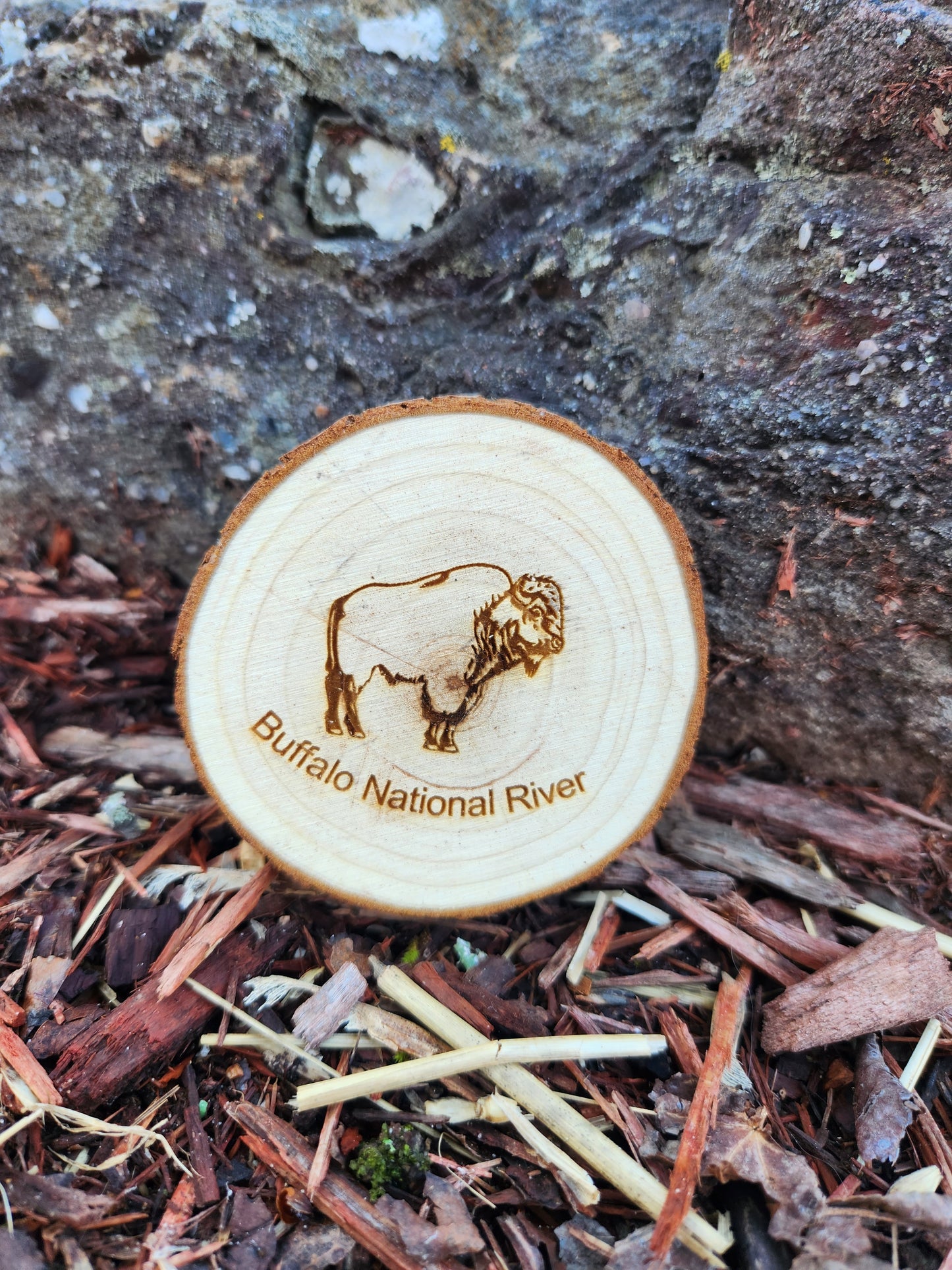 Round Wood Buffalo Magnet