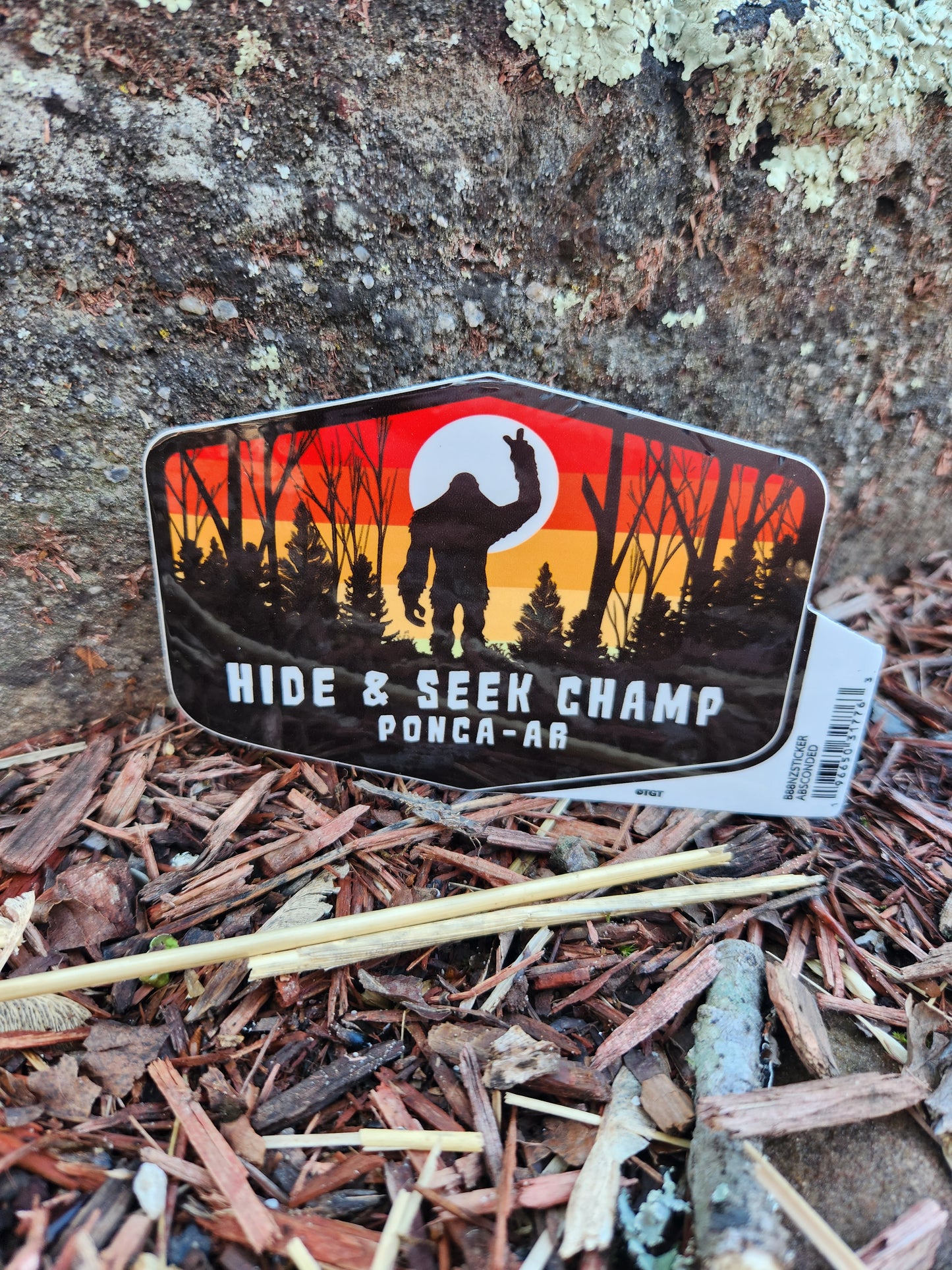Hide & Seek Champ Sticker