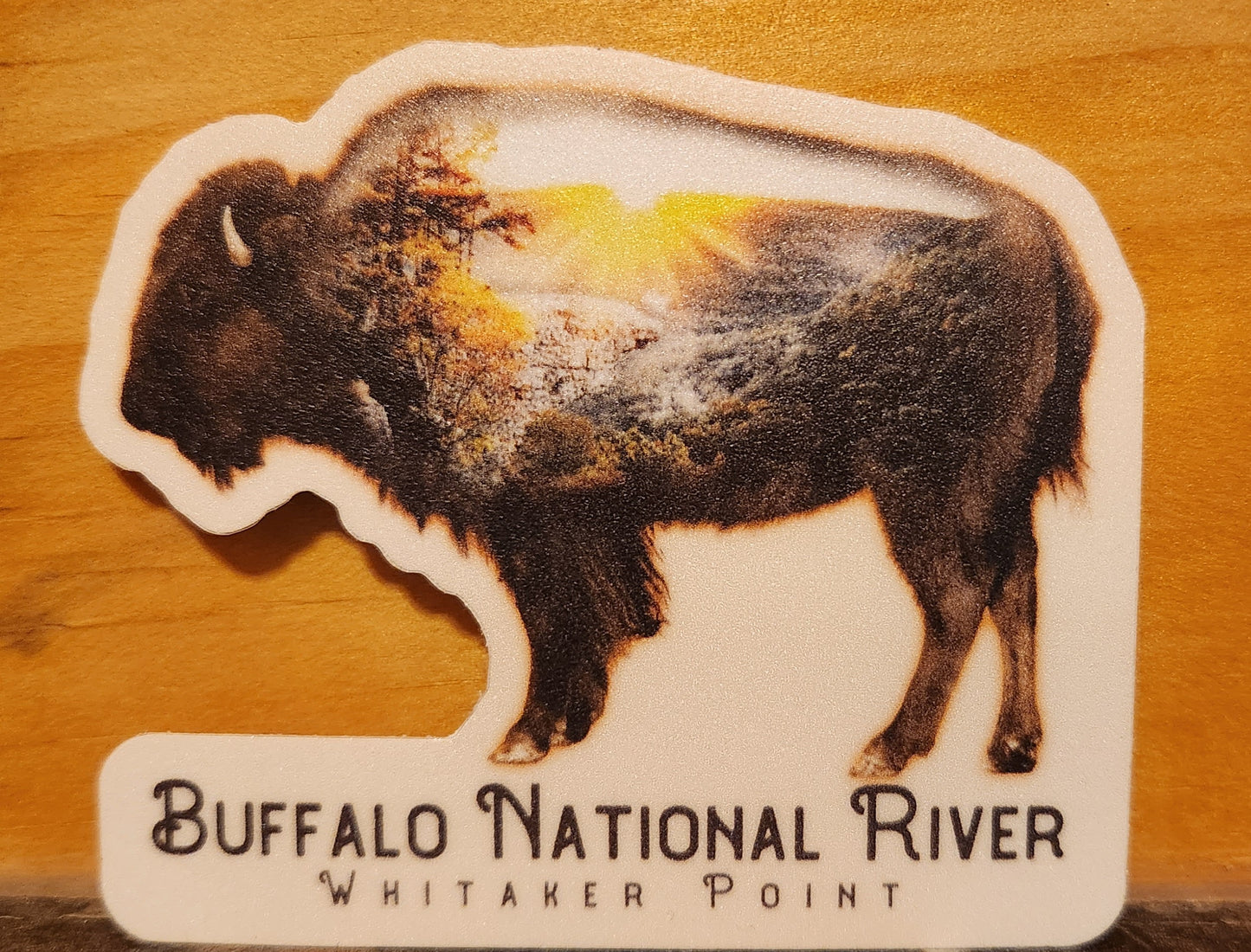 Buffalo Sunrise Whitaker Point Sticker